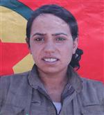 BATMAN BELEDIYESI - Suriye'de Öldürülen Kadın Pkk’lı Siirt’te Defnedildi