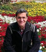 Denize Atlayarak İntihar Etti