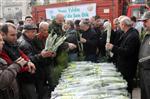 Denizli’de Bedava Fidan İzdihamı