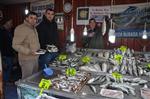 BALIK FİYATLARI - Fatsa’da Balık Fiyatları Hareketli