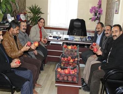 Meyve Üreticisinden Eş Başkanlara Ziyaret