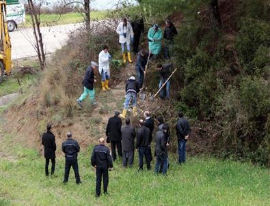 Şüpheli Mezardan Bebek Değil, Köpek Çıktı