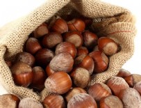 Fındık rekor kırdı