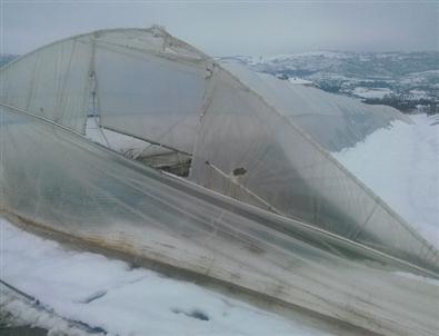 Kar Yağışı Seraları Vurdu