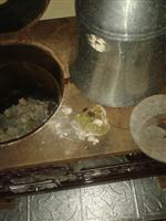 Beyşehir Jandarmasından Uyuşturucu Operasyonu