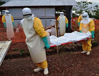 Ebola Yüzünden Toplamda 8 Bin 153 Kişi Hayatını Kaybetti