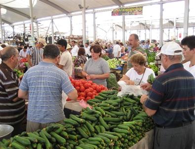 Salatalık Zam Şampiyonu Oldu