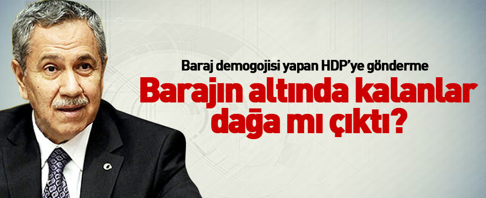 Arınç: HDP'nin oyu yüzde 6'yı geçmez