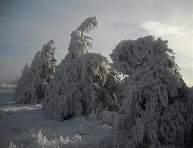 Bayındır Ormanları Buz Devrini Yaşadı