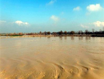 Menderes Taşkını 5 Bin Dönüm Ekili Araziyi Sular Altına Bıraktı