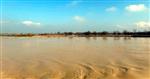 SAĞ VE SOL - Menderes Taşkını 5 Bin Dönüm Ekili Araziyi Sular Altına Bıraktı