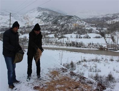 Koyulhisar’da Doğaya Yem Bırakıldı