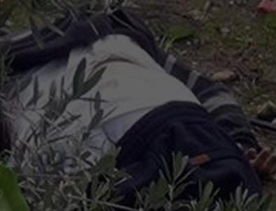 Narenciye bahçesinde vahşet