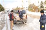 KAR ÖRTÜSÜ - Niğde'de Sokak Hayvanları Unutulmadı