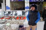 KAR SUYU - Bartın'da Kar Yağışı Balık Fiyatlarını Etkiledi