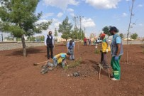Batı İlçe Otogarında Peyzaj Çalışmaları Sürüyor