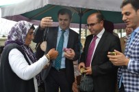 ENGELLİ VATANDAŞ - Erzurum'da 1 Ekim Dünya Yaşlılar Günü Etkinlikleri