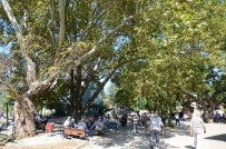 REFİK YILMAZ - Gemlik Belediyesi'nden Mahalle Olan Köylere Meydan