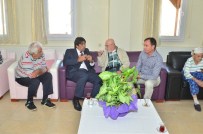 DÜNYA YAŞLILAR GÜNÜ - 'Sağlıklı Huzurlu Yıllara'