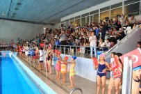 EBRAR - Yaz Spor Okulları Yüzme Finali Yapıldı