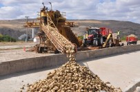 LÜTFULLAH KAYALAR - Yozgat'ta Pancar Hasadı Başladı