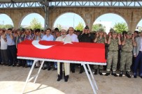 FEHMI HÜSREV KUTLU - Kore Gazisi Törenle Toprağa Verildi