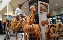 Ağacın Picasso'su TÜYAP Fuarının İlgi Odağı Oldu