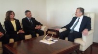 SAFFET ÖZDEMIR - CHP Milletvekili Adayları Vali Özdemir'i Ziyaret Etti