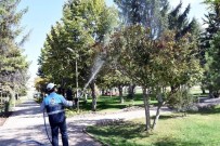 KENT ORMANI - Kocasinan Belediye Başkanı Ahmet Çolakbayraktar Açıklaması