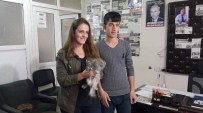 HAYVAN SEVERLER - Yaralı Baykuşa Gazete Çalışanı Sahip Çıktı