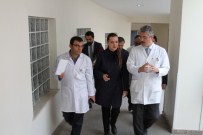 NÜKHET HOTAR - AK Parti Genel Başkan Yardımcılarından Terör Saldırısında Yaralananlara Ziyaret