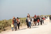 TAŞBURUN - Aydın'da 210 Göçmen Yakalandı