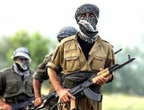 Mardin'de 4 PKK'lı öldürüldü