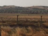 DAEŞ - Terör örgütü DAEŞ sınır hattına mayın döşedi