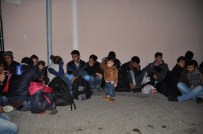 EDİRNE VALİLİĞİ - Edirne'de 40 Suriyeli Kaçak Göçmen Yakalandı