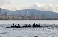 DALIŞ TURİZMİ - İstanbul'un Kayıp Adası Gün Yüzüne Çıkıyor
