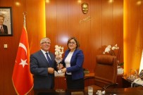 BÖLGE TOPLANTISI - Türkiye Sakatlar Derneği Şube Başkanlarından Fatma Şahin'e Ziyaret