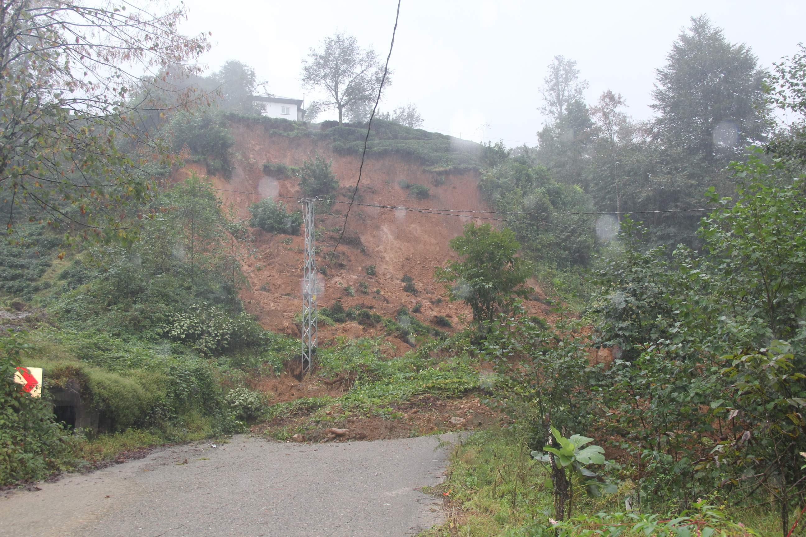 Düğüne gittiler hayatları kurtuldu