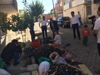 ABDURRAHMAN ÖZ - AK Partili Vekil Adayları Patlıcan Oydu