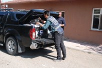 Aksaray'da 15 Bin Paket Kaçak Sigara Ele Geçirildi