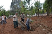 MEHMET KAYA - Anıtpark'a Farklı Türde Ağaçlar Dikiliyor