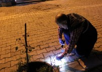 İSLAMOĞLU - Arkadaşlar Arasında Çıkan Kavgada Silahlar Konuştu