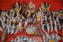 LAGOS - Başrolde Bu Yıl Hamsi Var