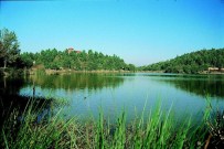 OLTA - Kurugöl Mesire Alanı Olacak