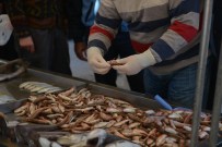 KILIK KIYAFET - Balıklara Ve Balık Satıcılarına Sıkı Denetim