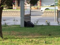 ŞÜPHELİ ÇANTA - Çanakkale'de Şüpheli Çanta Paniği