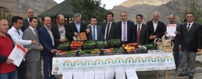 Gökten Dört Elma Düştü Projesi