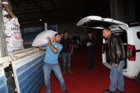 Kocaeli Büyükşehir'den Çiftçilere Yüzde 50 Hibeli Tohum Yardımı