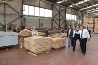 ALI FIDAN - Vali Ali Fidan Sanayi Kuruluşlarını Geziyor