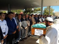 CEMIL ÇELIK - Vefat Eden Tarsim Bölge Müdürü Kadak Toprağa Verildi